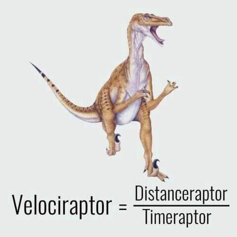 fun/velociraptor.jpg