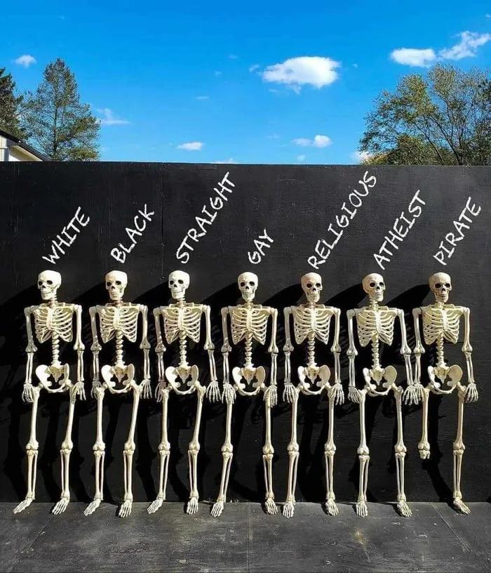 skeletons.jpg